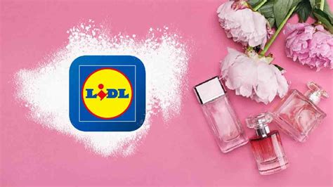 dior poison dupes lidl.